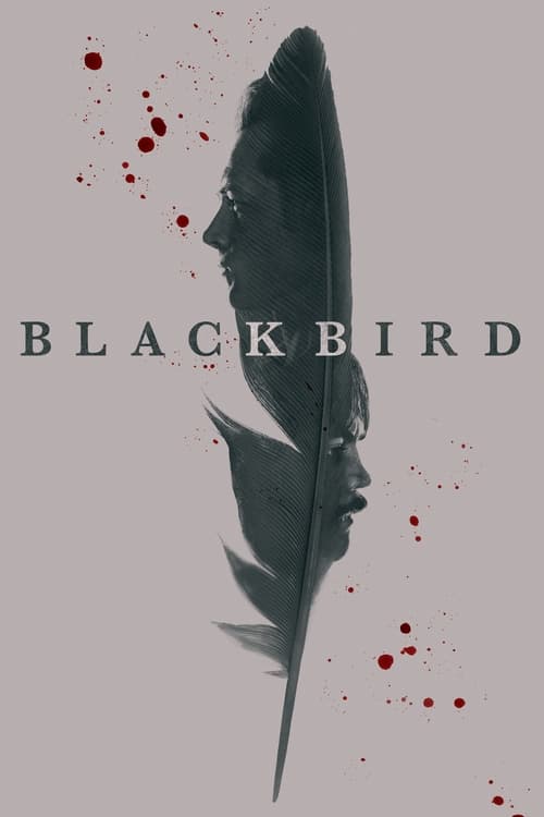 Black Bird (TV Mini Series 2022) - IMDb